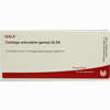 Cartilago Art (gen) Gl D5 Ampullen 10 x 1 ml - ab 19,41 €