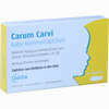 Carum Carvi Baby- Kümmelzäpfchen  10 Stück - ab 4,94 €