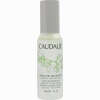 Caudalie Eau De Beaute Spray 30 ml - ab 0,00 €