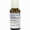 Caulophyllum D6 Dilution 20 ml - ab 6,95 €