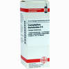 Caulophyllum Tha D6 Dilution 20 ml - ab 8,69 €