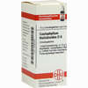 Caulophyllum Tha D6 Globuli 10 g - ab 7,55 €