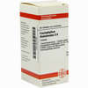 Caulophyllum Tha D6 Tabletten 80 Stück - ab 8,69 €