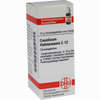 Causticum Hahnemanni C12 Globuli  10 g - ab 6,98 €