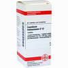 Causticum Hahnemanni D12 Tabletten 80 Stück - ab 7,84 €