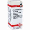 Causticum Hahnemanni D6 Globuli 10 g - ab 6,98 €