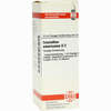 Ceanothus Amer D3 Dilution 20 ml - ab 8,69 €