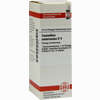 Ceanothus Amer D4 Dilution 20 ml - ab 11,59 €