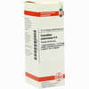 Ceanothus Amer D6 Dilution 20 ml - ab 8,69 €