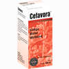 Cefavora Tropfen  200 ml - ab 33,15 €