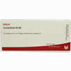 Cerebellum Gl D6 Ampullen 10 x 1 ml - ab 19,31 €