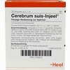 Cereberum Suis- Injeel Ampullen  10 Stück - ab 21,24 €