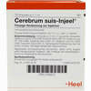 Cereberum Suis- Injeel Ampullen  10 Stück - ab 21,79 €