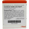 Cereberum Totalis Suis- Injeel Ampullen  10 Stück - ab 21,79 €