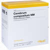Cerebrum Compositum Nm Ampullen 100 Stück - ab 157,99 €