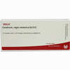 Cerebrum Regio Moto Gl D12 Ampullen 10 x 1 ml - ab 19,41 €