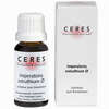 Ceres Imperatoria Ostruthium Urtinktur Tropfen 20 ml - ab 16,51 €