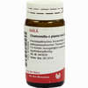 Chamomilla E Pl Tota D6 Globuli 20 g - ab 7,50 €