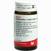 Chamomilla E Radice D6 Globuli 20 g - ab 7,18 €