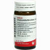 Chamomilla/nicotiana Globuli 20 g - ab 7,15 €
