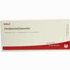 Chelidonium/colocynthis Ampullen 10 x 1 ml - ab 19,41 €
