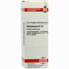 Chelidonium D12 Dilution 20 ml - ab 8,69 €