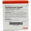 Chelidonium- Injeel Ampullen  10 Stück - ab 14,22 €
