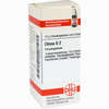 China D2 Globuli 10 g - ab 6,98 €