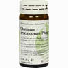 Chininum Arsenicosum Phcp Globuli  20 g - ab 0,00 €
