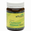 Chitosan Kapseln 480mg  90 Stück - ab 13,34 €