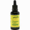 Chlorophyll Tropfen 50 ml - ab 11,32 €