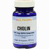 Cholin 100mg Gph Kapseln 60 Stück - ab 12,27 €