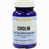 Cholin 100mg Gph Kapseln 60 Stück - ab 11,89 €