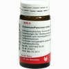 Cichorium/pancreas Comp Globuli 20 g - ab 7,18 €