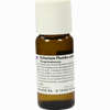 Cichorium Plum Cul D3 Dilution 50 ml - ab 29,58 €