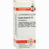 Cicuta Virosa D12 Globuli 10 g - ab 7,55 €
