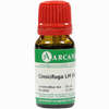 Cimicifuga Arca Lm 18 10 ml - ab 13,30 €
