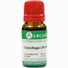 Cimicifuga Arca Lm 18 10 ml - ab 9,17 €