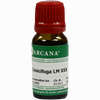 Cimicifuga Arca Lm 30 10 ml - ab 15,40 €