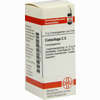 Cimicifuga C5 Globuli 10 g - ab 6,55 €