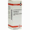 Cimicifuga D4 Dilution Dhu-arzneimittel 20 ml - ab 7,49 €