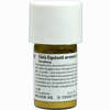 Cinis Equiseti Arvensis D6 Trituration 20 g - ab 0,00 €