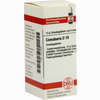 Cinnabaris D10 Globuli 10 g - ab 7,55 €