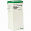 Cinnamomum Homaccord N Tropfen 30 ml - ab 7,82 €