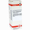 Cistus Canadens D6 Dilution 20 ml - ab 9,29 €