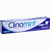 Clinomint Raucherzahncreme  75 ml