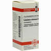 Cobaltum Nitricum D12 Globuli 10 g - ab 7,68 €