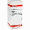 Cocculus D6 Tabletten 80 Stück - ab 7,84 €
