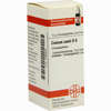 Coccus Cacti D6 Globuli 10 g - ab 6,98 €