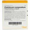 Colchicum Compositum Ampullen 10 Stück - ab 13,42 €